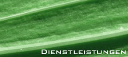 banner_dienstleistungen